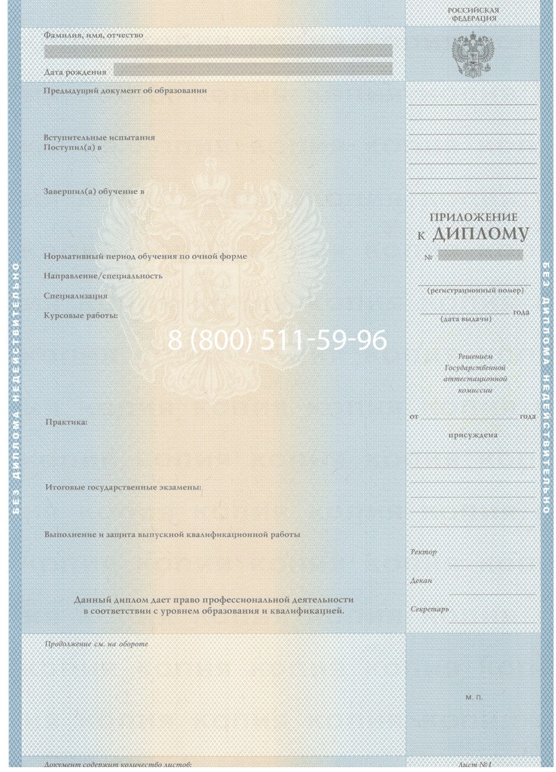 Заказать Диплом бакалавра 2003-2009 годов в Щёлково