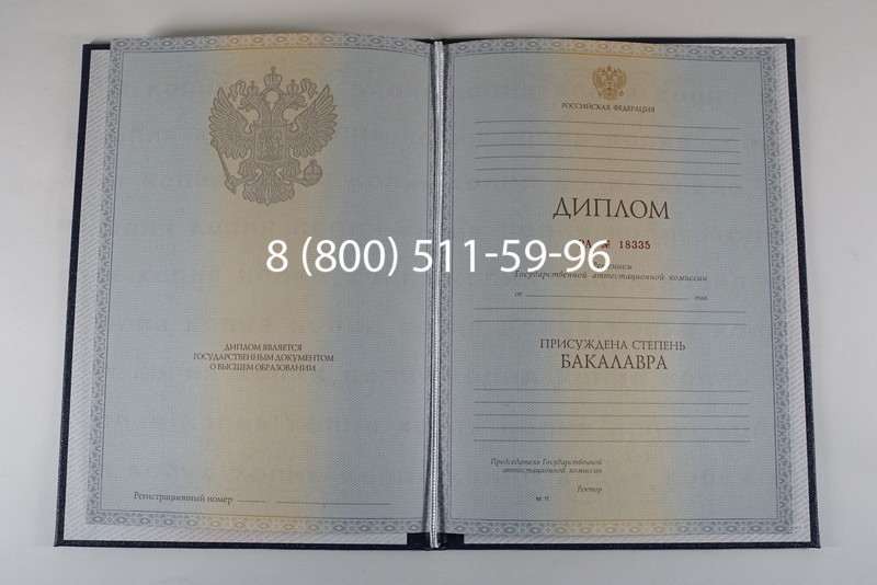 Диплом бакалавра 2012-2013 годов в Щёлково Диплом бакалавра 2012-2013 годов в Щёлково