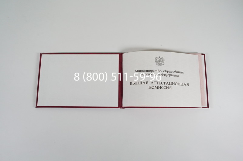 Диплом доктора наук 1995-2006 года в Щёлково Диплом доктора наук 1995-2006 года в Щёлково