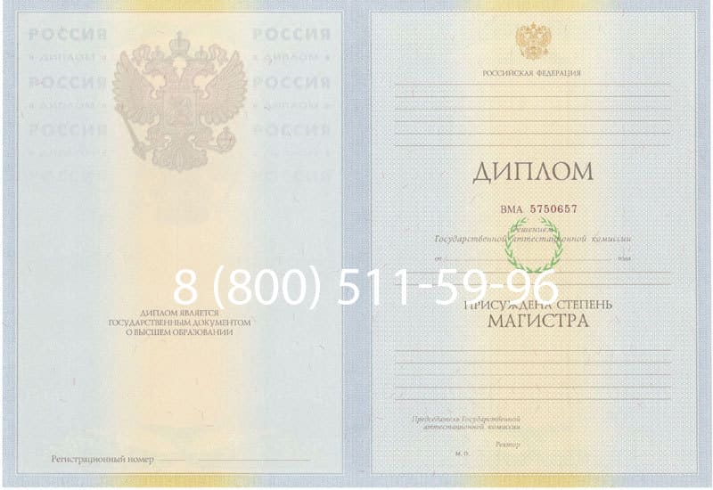 Купить Диплом магистра 2010-2011 годов в Щёлково Купить Диплом магистра 2010-2011 годов в Щёлково
