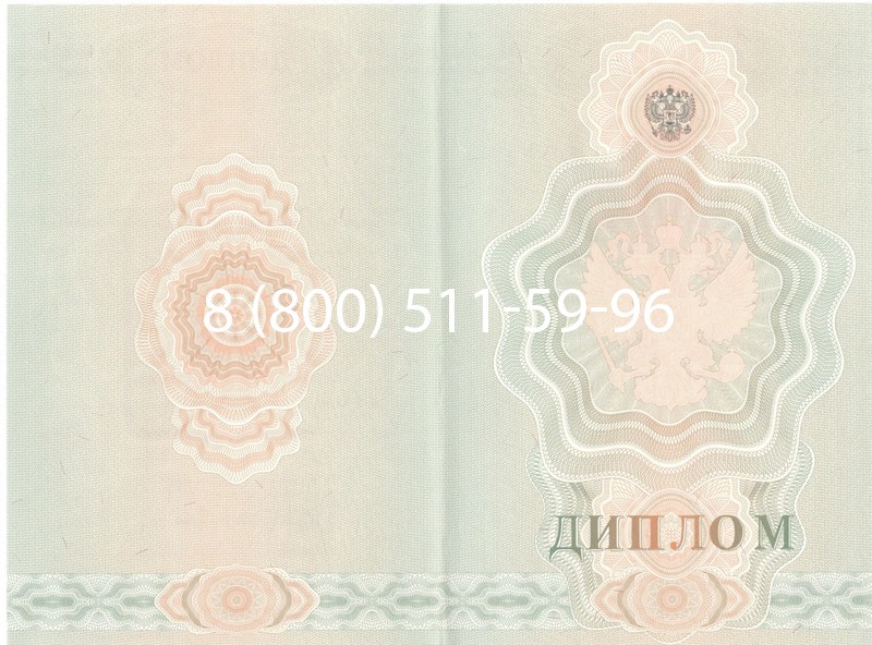 Купить Диплом ПТУ 2007-2010 годов в Щёлково Купить Диплом ПТУ 2007-2010 годов в Щёлково